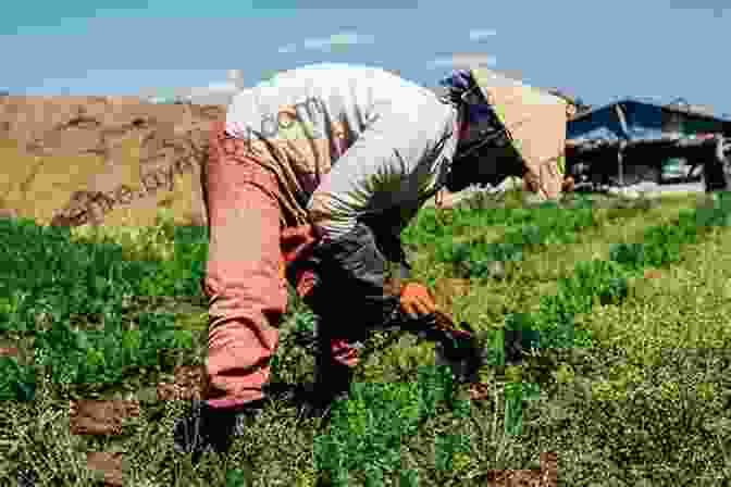 A Farmer Tending To A Field Of Organic Crops, Representing Environmental Stewardship Study Guide: Braiding Sweetgrass By Robin Wall Kimmerer (SuperSummary)