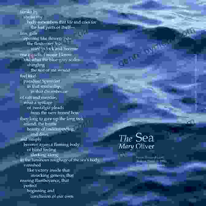 A Photograph Of A Coastal Landscape With A Poem Superimposed On It Pioneering Archaeology In The Texas Coastal Bend: The Pape Tunnell Collection (Gulf Coast Sponsored By Texas A M University Corpus Christi 26)