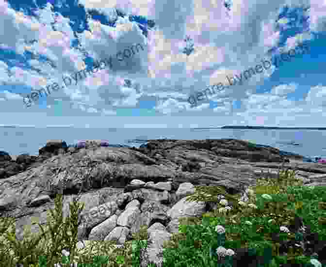 A Tranquil Secluded Cove On The Maine Coast Frommer S Maine Coast (Complete Guide)