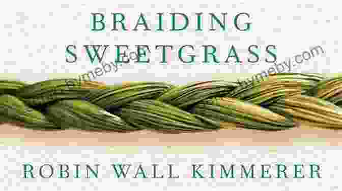 Cover Of The Book 'Braiding Sweetgrass' By Robin Wall Kimmerer, Featuring A Photograph Of A Woman Braiding A Sweetgrass Basket Study Guide: Braiding Sweetgrass By Robin Wall Kimmerer (SuperSummary)