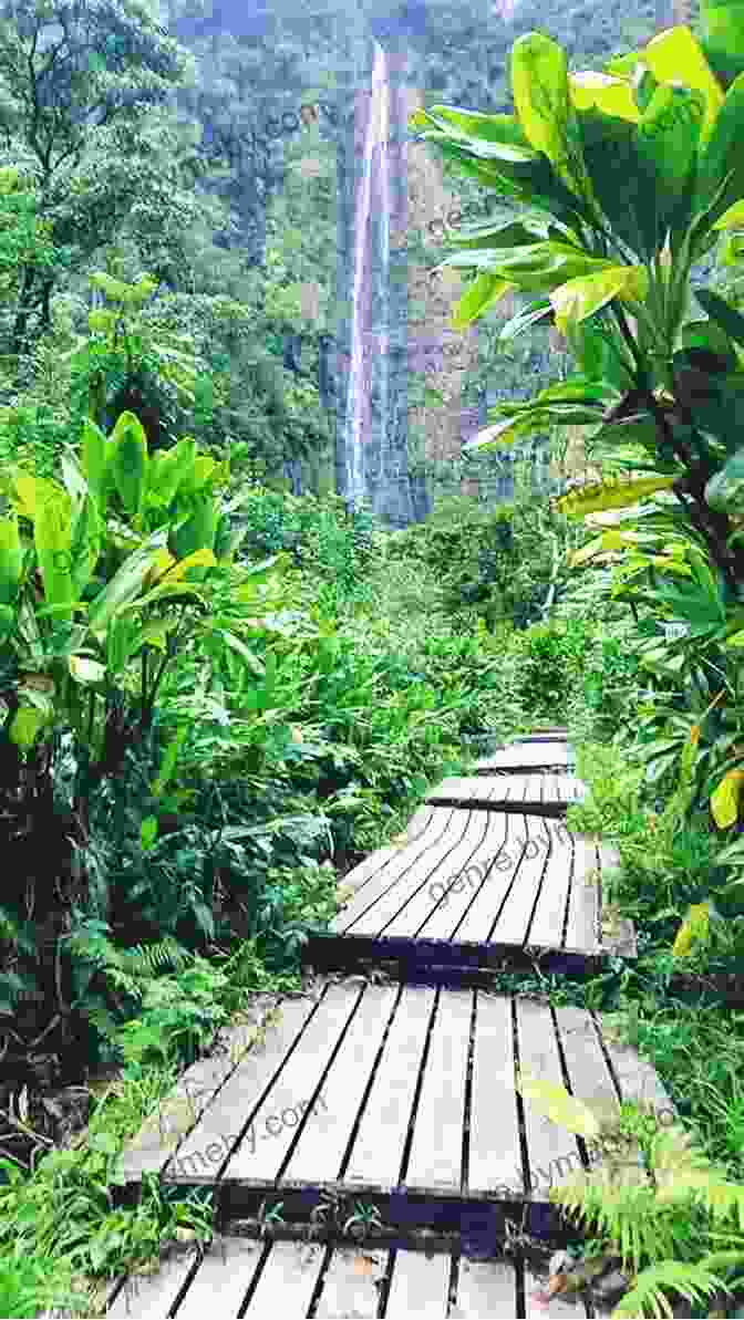 Hana Highway, Haleakala National Park Moon Colorado: Scenic Drives National Parks Best Hikes (Travel Guide)