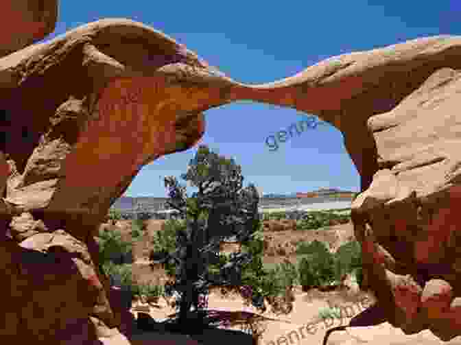 Moab, Utah Moon Zion Bryce: With Arches Canyonlands Capitol Reef Grand Staircase Escalante Moab: Hiking Biking Scenic Drives (Travel Guide)