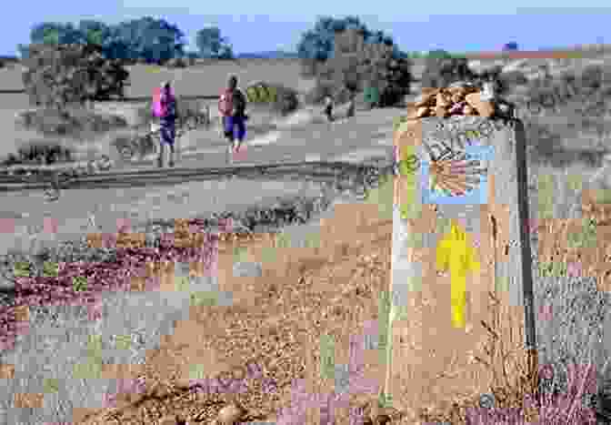 Pilgrims On The Camino Francés Cycling The Camino De Santiago: The Way Of St James Camino Frances (Cicerone Cycling Guides)