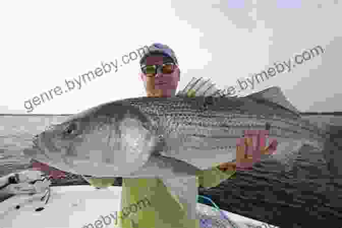 Striped Bass Fishing Guide Cover Image Ultimate Guide To Striped Bass Fishing: Where To Find Them How To Catch Them