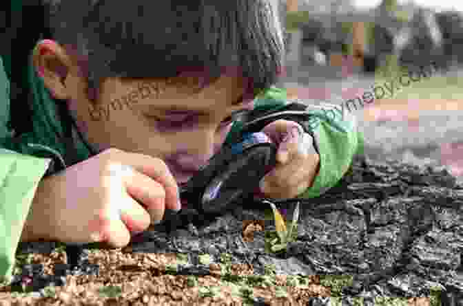 Students Examining Nature In Science Class Lesson Plan The Spiderwick Chronicles: The Field Guide By Holly Black