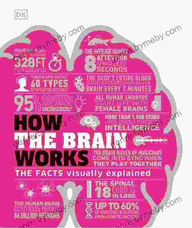 The Facts Visually Explained: How Things Work Book Cover Featuring Intricate Illustrations And A Vibrant Design How Technology Works: The Facts Visually Explained (How Things Work)