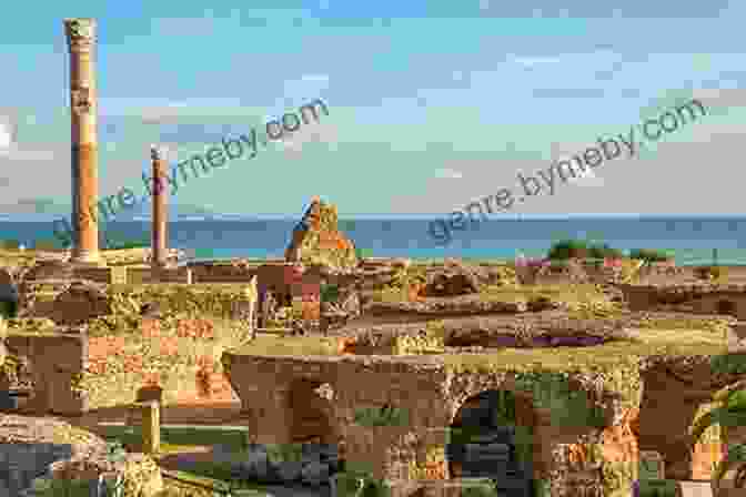 The Ruins Of Carthage Phoenicians And The Making Of The Mediterranean