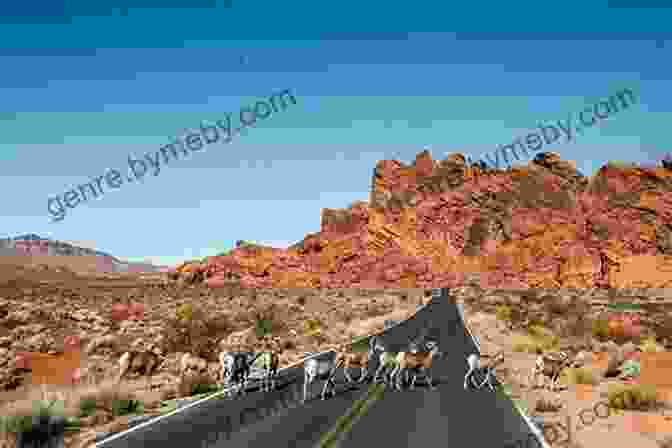 Valley Of Fire Drive, Valley Of Fire State Park Moon Colorado: Scenic Drives National Parks Best Hikes (Travel Guide)