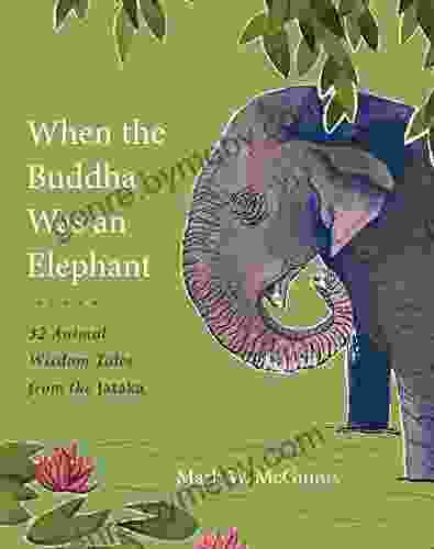 When The Buddha Was An Elephant: 32 Animal Wisdom Tales From The Jataka