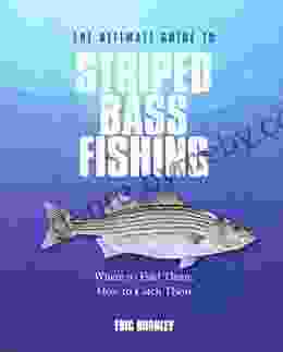 Ultimate Guide to Striped Bass Fishing: Where To Find Them How To Catch Them