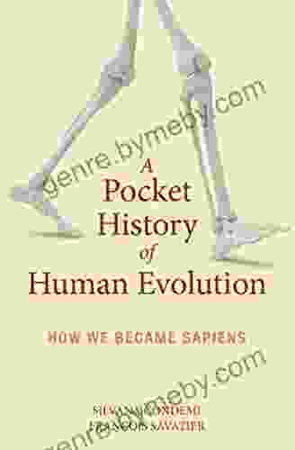 A Pocket History Of Human Evolution: How We Became Sapiens